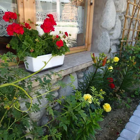 Homestay Goscinne U Elzbiety Ciche Male