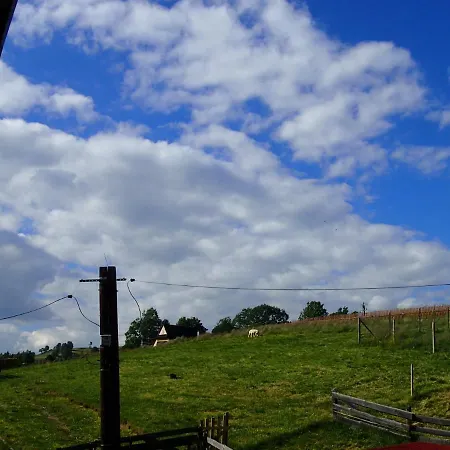 Homestay Goscinne U Elzbiety *